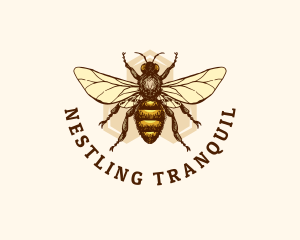 Honey Bee Apiary logo design