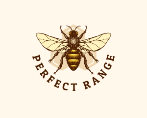 Honey Bee Apiary logo design