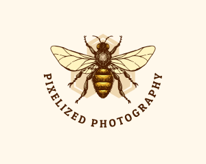 Honey Bee Apiary logo design