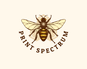 Honey Bee Apiary logo design