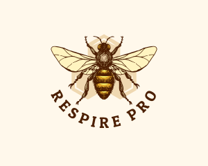 Honey Bee Apiary logo design