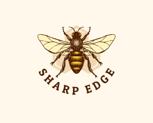 Honey Bee Apiary logo design