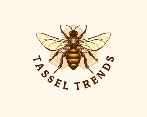 Honey Bee Apiary logo design