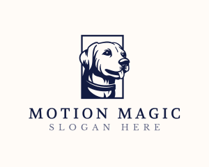 Pet Dog Animal logo design