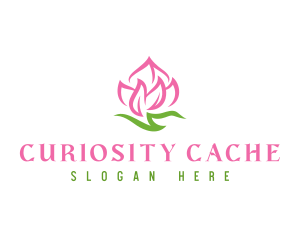 Pink Flower Spa logo design