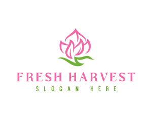 Pink Flower Spa logo design