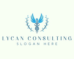 Medical Caduceus Clinic logo design