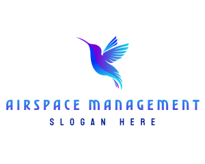 Flying Hummingbird Wings logo