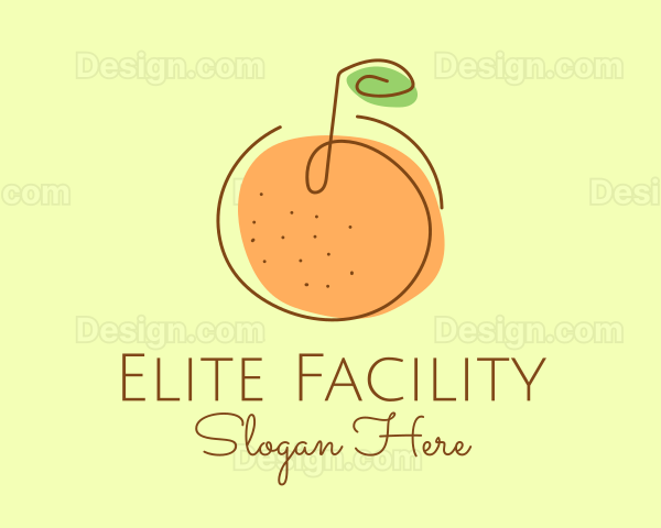 Orange Fruit Outline Logo