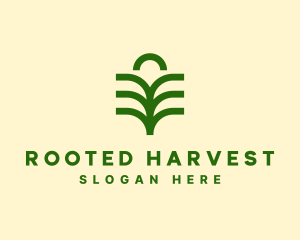 Nature Palm Leaf  logo design