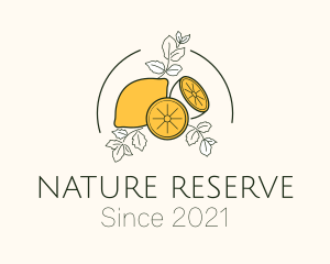 Natural Lemon Pulp Drink logo design