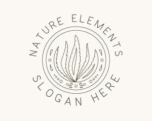 Natural Aloe Vera logo design