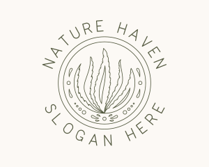 Natural Aloe Vera logo design