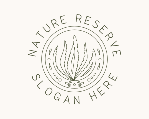 Natural Aloe Vera logo design