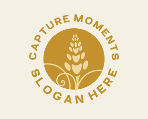 Golden Wheat Harvest logo