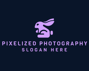 Little Hare Bunny logo design