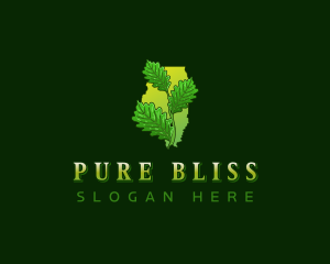 Illinois White Oak Leaves logo design