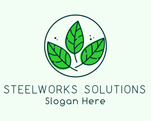 Natural Herbal Leaves Logo