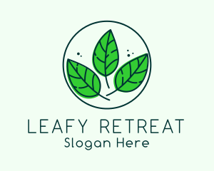 Natural Herbal Leaves logo design