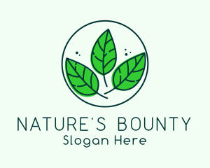 Natural Herbal Leaves logo design