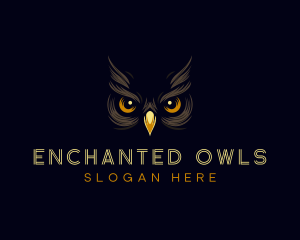 Night Owl Eyes logo