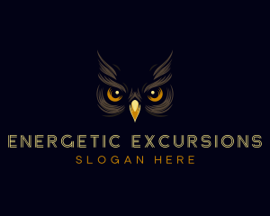 Night Owl Eyes logo design