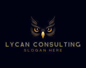 Night Owl Eyes logo design