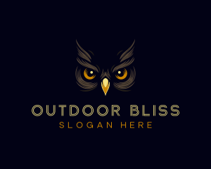 Night Owl Eyes logo design