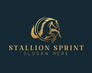 Equine Horse Stallion logo design