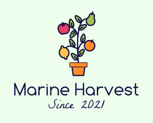 Organic Fruit Harvest logo design