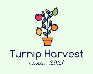 Organic Fruit Harvest logo design