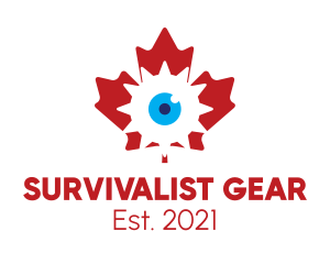 Canadian Tech Surveillance  logo design