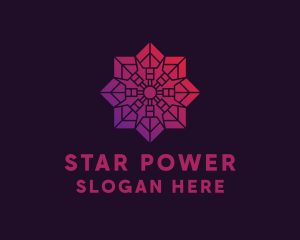 Intricate Star Business  logo design