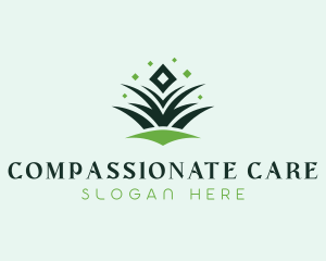 Diamond Grass Lawn Care logo design