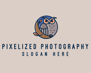 Night Owl Bird logo design