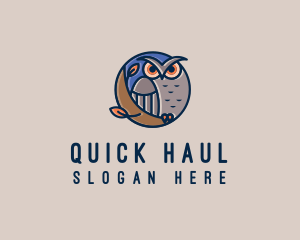 Night Owl Bird logo design