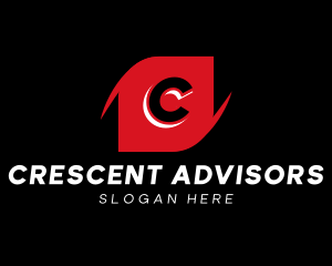 Professional Firm Agency logo