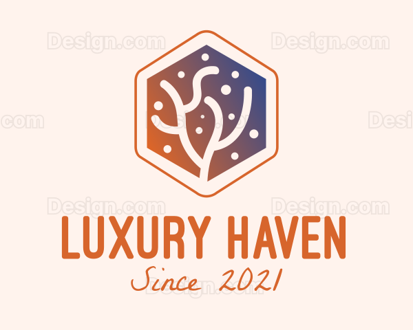 Hexagon Coral Reef Logo