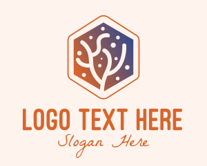 Hexagon Coral Reef  Logo