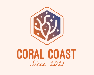 Hexagon Coral Reef  logo