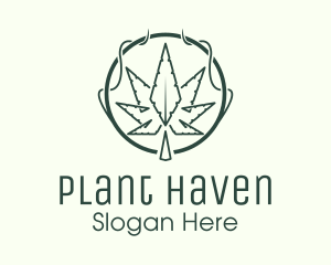 Marijuana Plant Dispensary  logo design