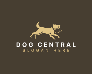 Pet Dog Training logo design