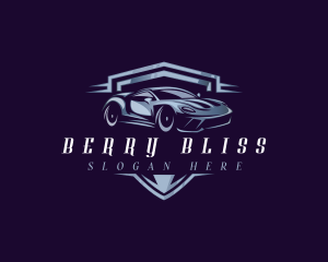 Racing Car Auto Detailing logo design