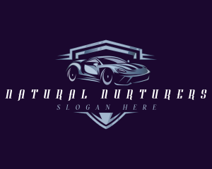 Racing Car Auto Detailing logo design