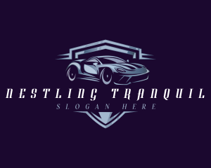 Racing Car Auto Detailing logo design