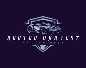 Racing Car Auto Detailing logo design