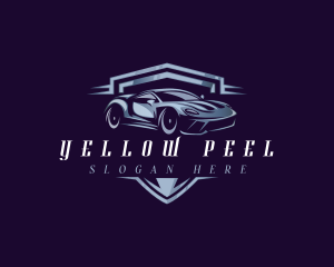 Racing Car Auto Detailing logo design