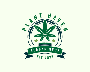 Marijuana Leaf Plant logo design