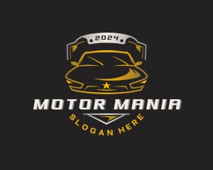 Auto Detailing Mechanic logo design