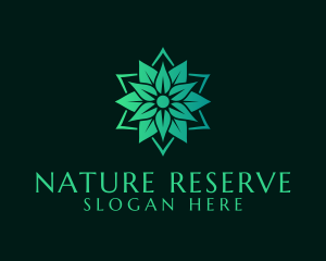 Natural Leaves Spa logo design